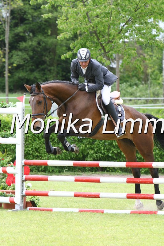 204M0601_JPs Zara_Spr_Pferde_A.JPG